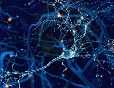 Nervous system emotions energetic flow.
